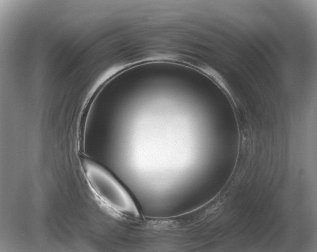 X0000080141143200612081249