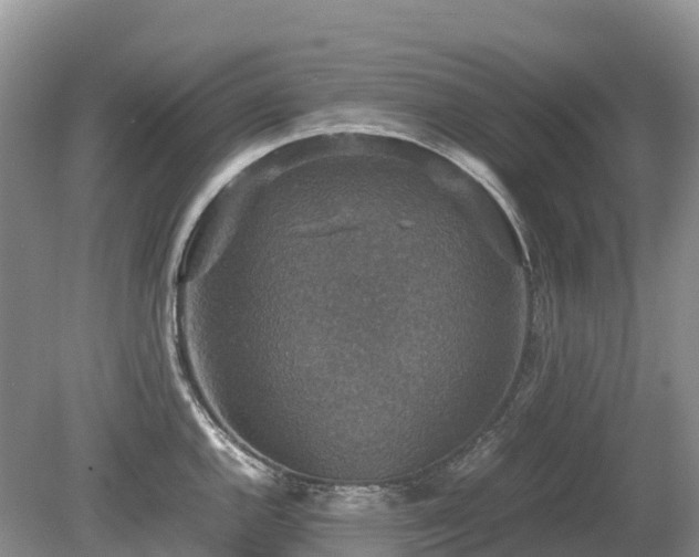 X0000080141144200612081249