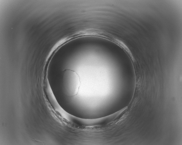 X0000080141146200612081249