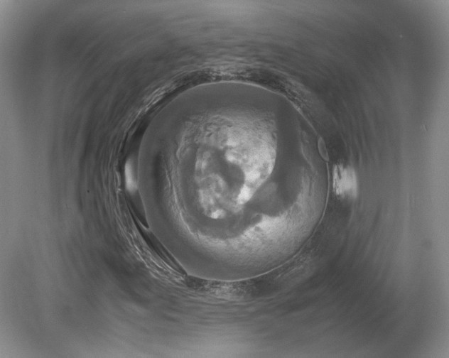 X0000080141155200612081248
