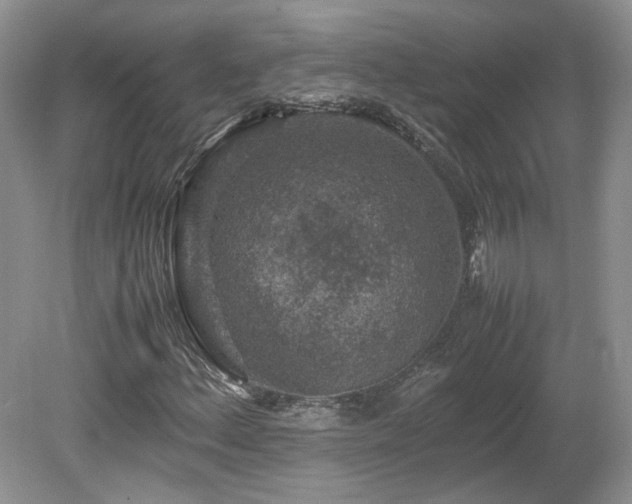X0000080141156200612081248