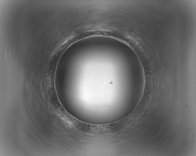 X0000080141159200612081248