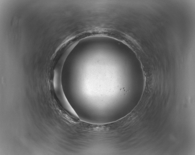 X0000080141160200612081248