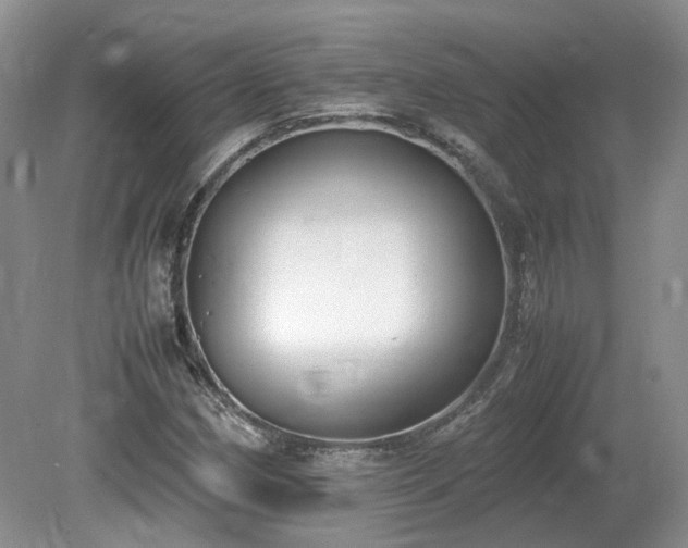X0000080141162200612081248