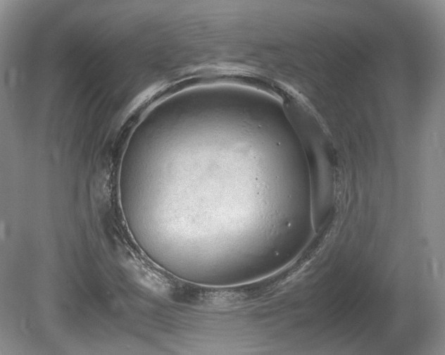 X0000080141163200612081248