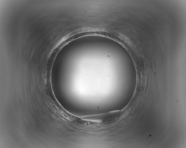 X0000080141165200612081248