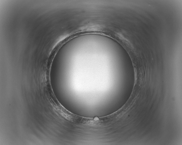 X0000080141166200612081248