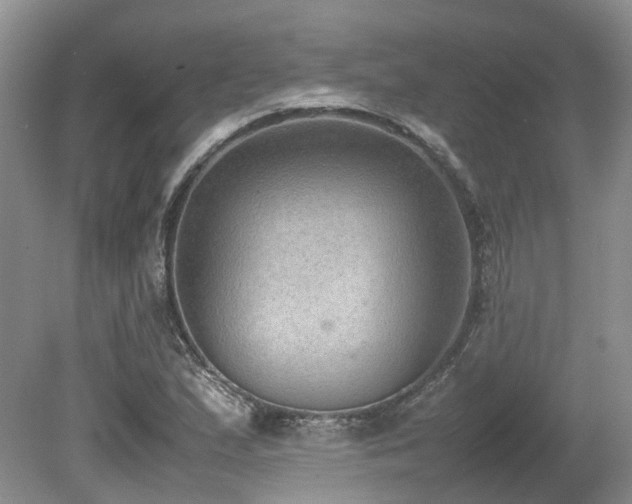 X0000080141167200612081248