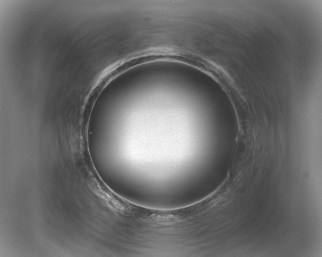 X0000080141168200612081248