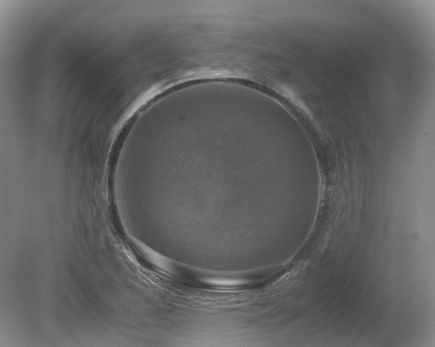X0000080141173200612081248