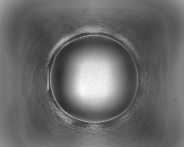 X0000080141175200612081248