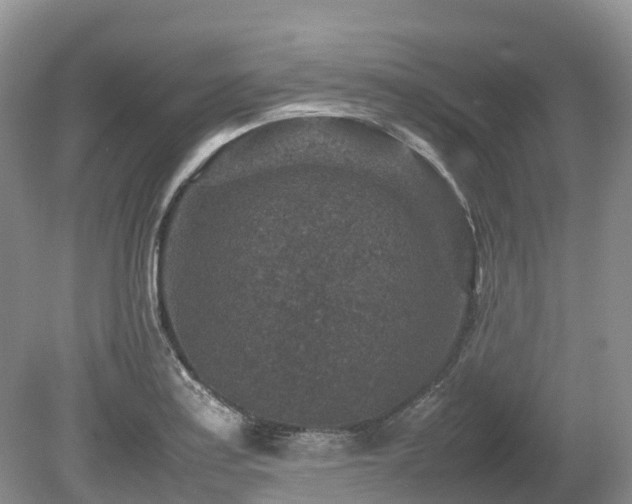 X0000080141179200612081248