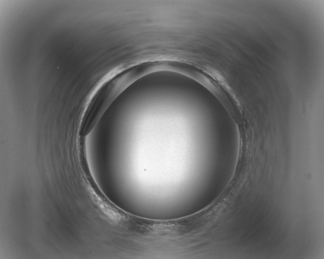 X0000080141181200612081248