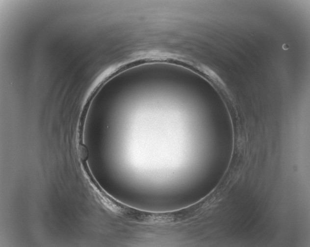 X0000080141183200612081248