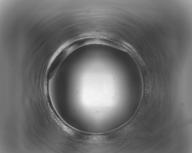 X0000080141188200612081248