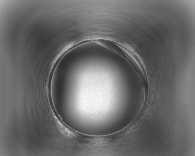 X0000080141189200612081248