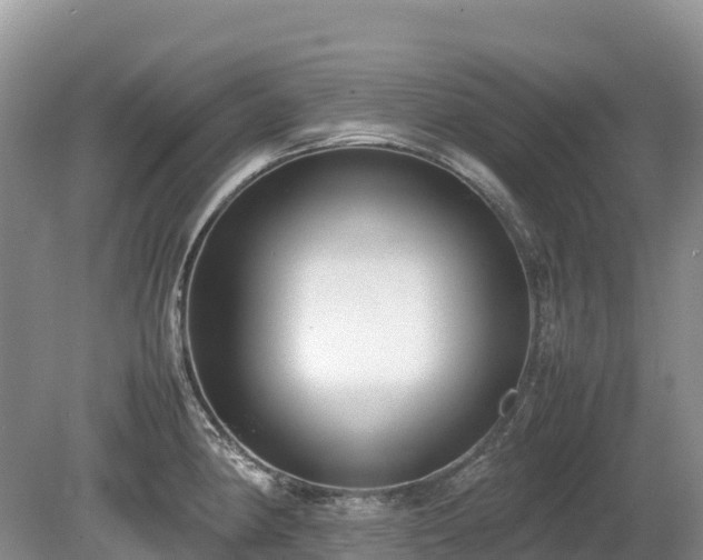 X0000080141190200612081248