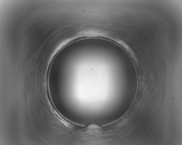 X0000080141191200612081248