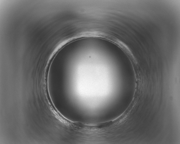X0000080141192200612081248