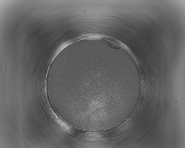X0000080141194200612081248