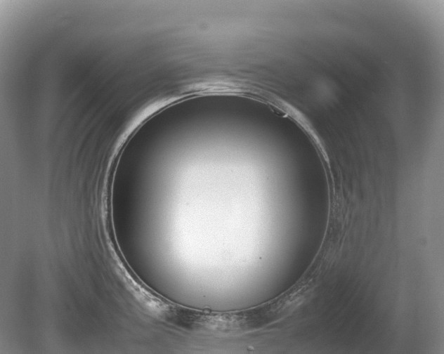 X0000080141195200612081248