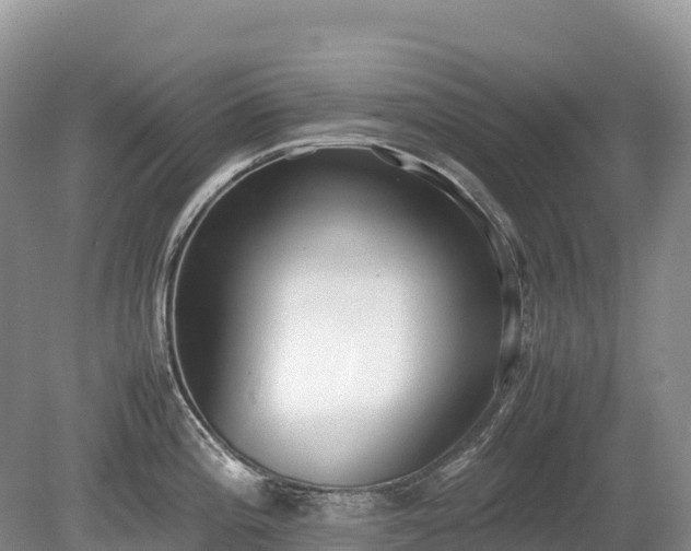 X0000080141196200612081248
