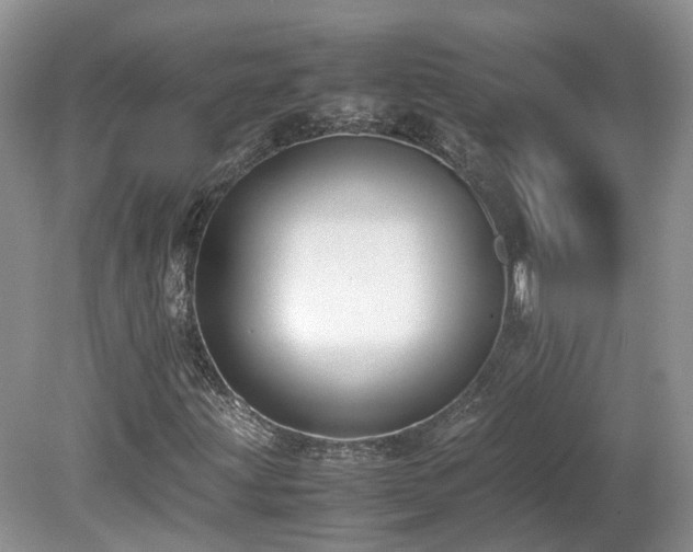 X0000080141203200612081247