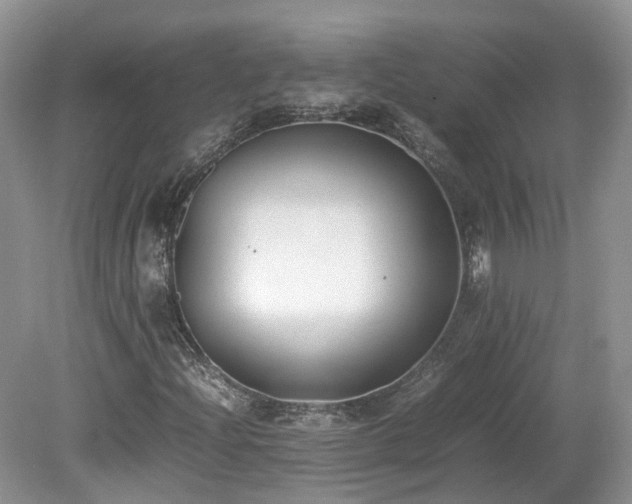 X0000080141204200612081247