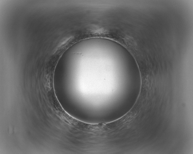 X0000080141205200612081247