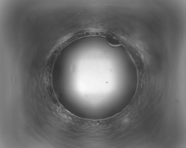 X0000080141207200612081247