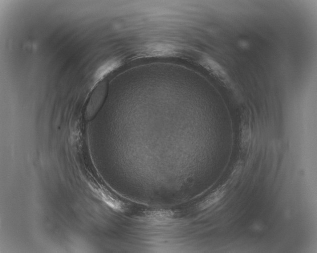X0000080141210200612081247