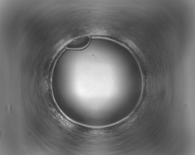 X0000080141212200612081247