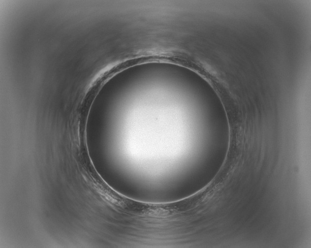 X0000080141214200612081247