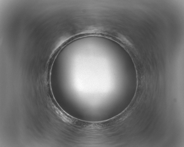 X0000080141216200612081247