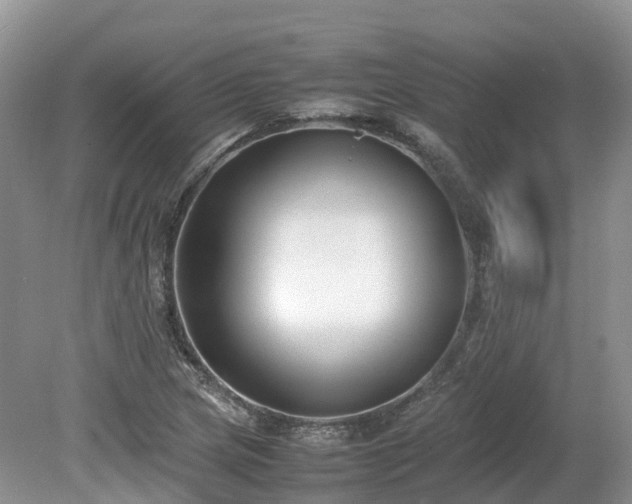 X0000080141217200612081247