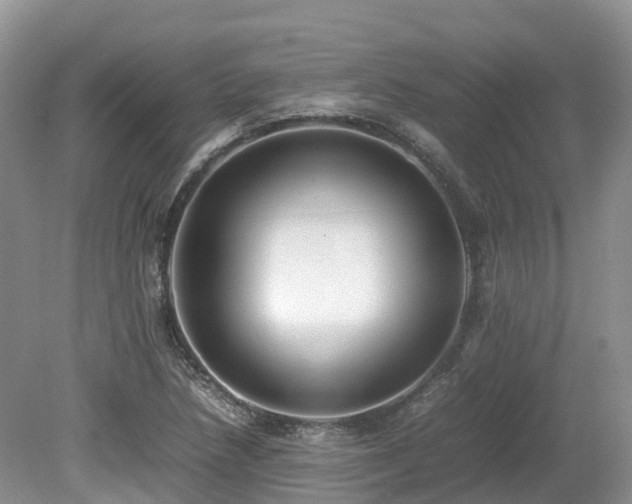 X0000080141218200612081247