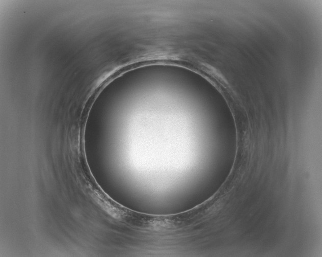 X0000080141220200612081247