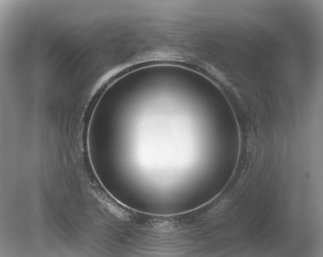 X0000080141222200612081247