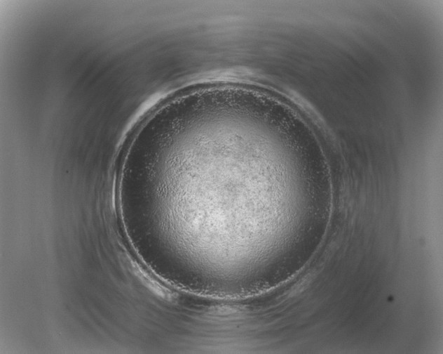 X0000080141224200612081247