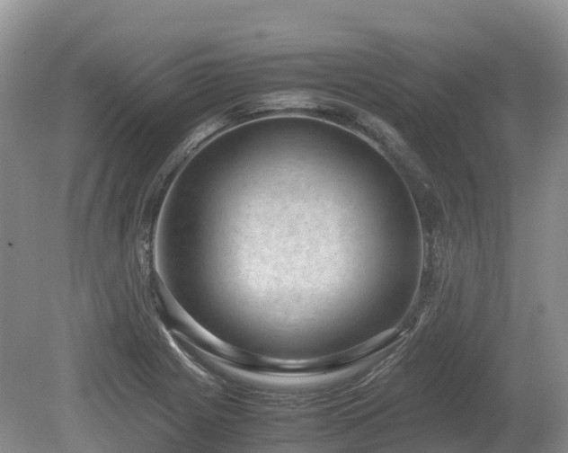 X0000080141225200612081247