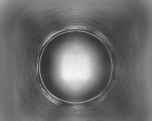 X0000080141228200612081247
