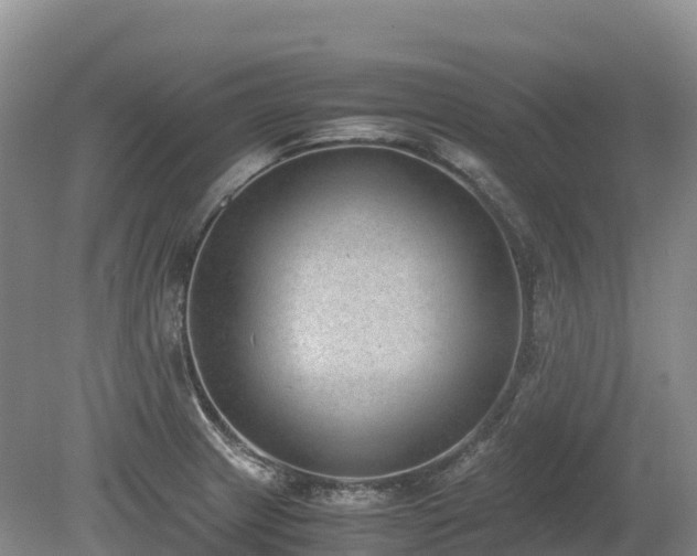 X0000080141233200612081247