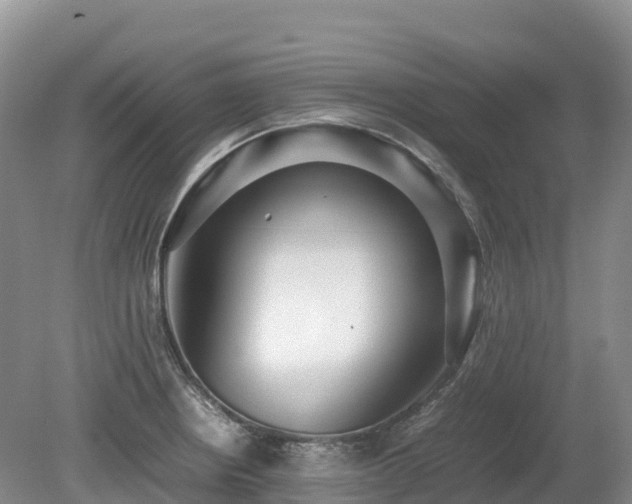 X0000080141234200612081247