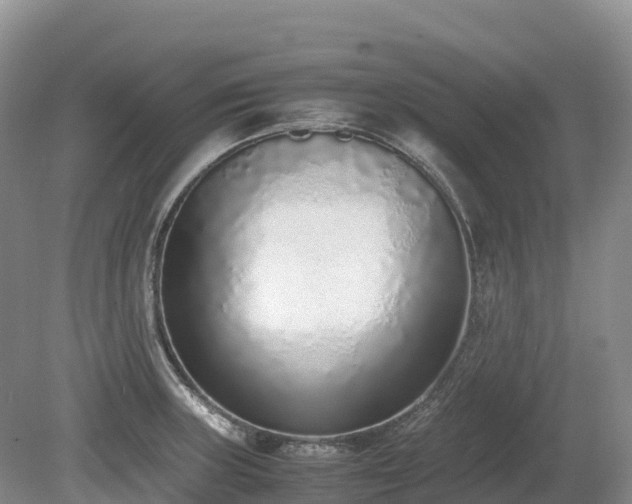 X0000080141235200612081247