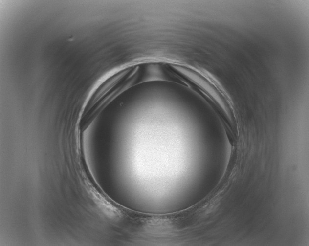 X0000080141238200612081247