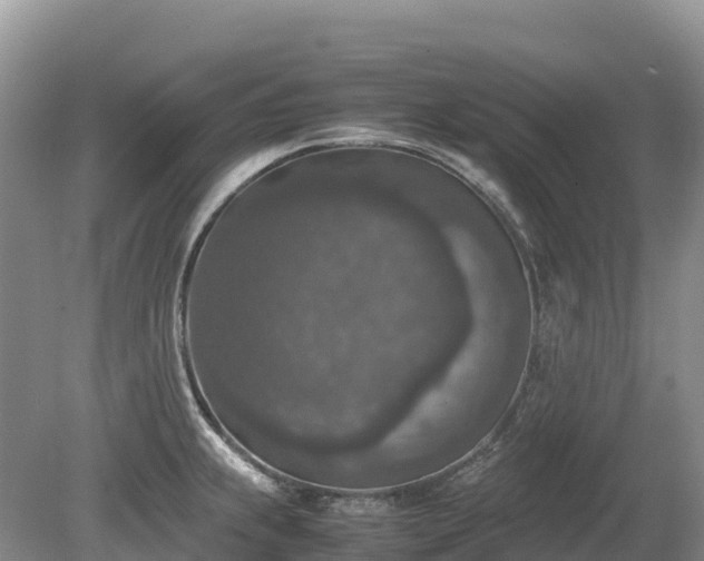 X0000080141239200612081247