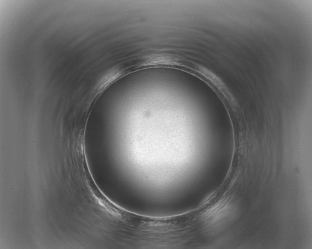 X0000080141241200612081247