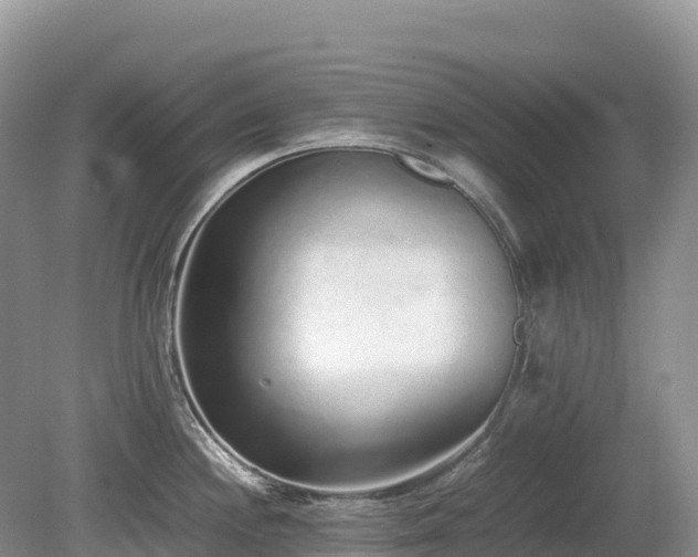X0000080141244200612081248