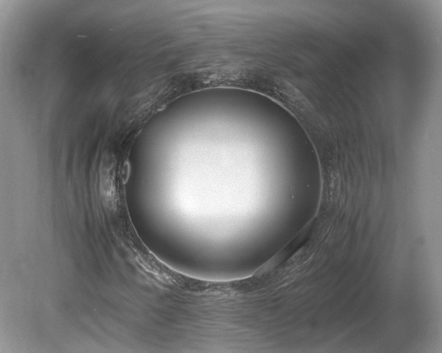X0000080141250200612081247
