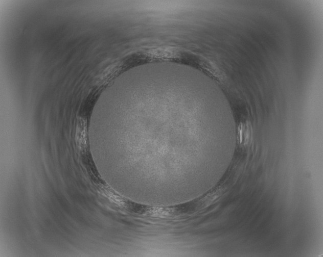X0000080141251200612081247